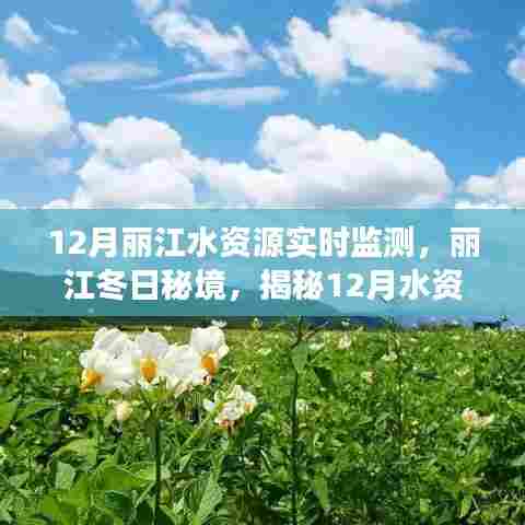 揭秘丽江冬季水资源实时监测背后的故事，冬日秘境的守护与关注