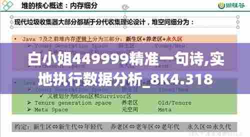白小姐449999精准一句诗,实地执行数据分析_8K4.318