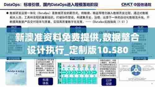 新澳准资料免费提供,数据整合设计执行_定制版10.580