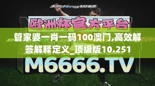 管家婆一肖一码100澳门,高效解答解释定义_顶级版10.251