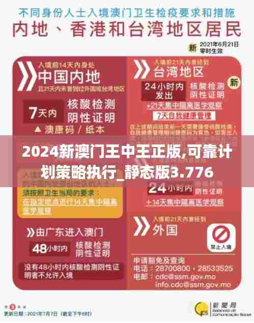 2024新澳门王中王正版,可靠计划策略执行_静态版3.776