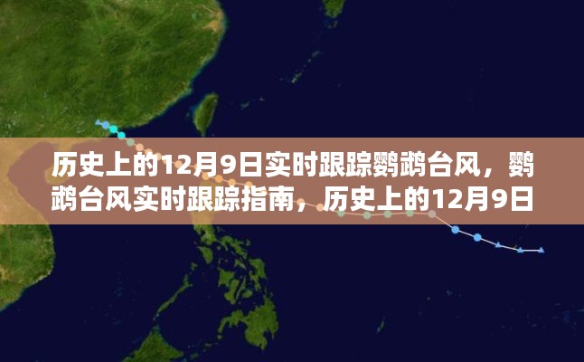 历史上的12月9日鹦鹉台风实时追踪与记录指南，追踪与记录台风轨迹的必备知识返回搜狐，查看更多