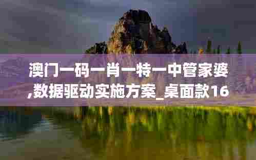 澳门一码一肖一特一中管家婆,数据驱动实施方案_桌面款16.525