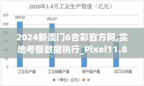 2024新澳门6合彩官方网,实地考察数据执行_Pixel11.826
