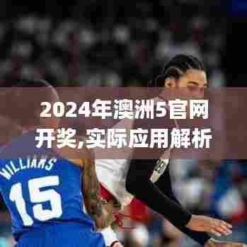 2024年澳洲5官网开奖,实际应用解析说明_Harmony款6.709