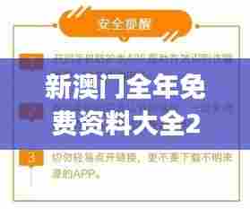 新澳门全年免费资料大全2024,实地验证设计解析_进阶版16.751