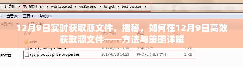 揭秘，如何在12月9日高效获取源文件的方法和策略详解