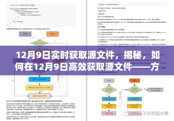 揭秘,如何在12月9日高效获取源文件的方法和策略详解