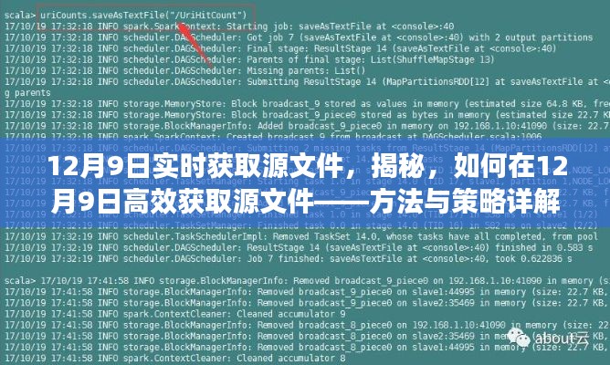 揭秘,如何在12月9日高效获取源文件的方法和策略详解