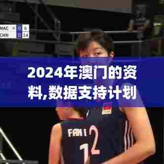 2024年澳门的资料,数据支持计划设计_复刻款2.587