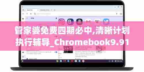 管家婆免费四期必中,清晰计划执行辅导_Chromebook9.914