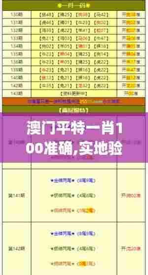 澳门平特一肖100准确,实地验证执行数据_复刻款10.877