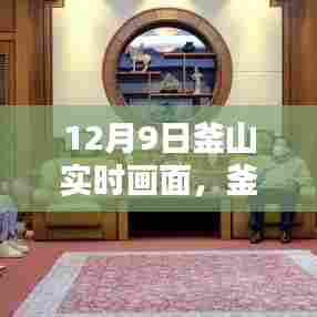 釜山暖心一日，12月9日的温馨画面实时记录