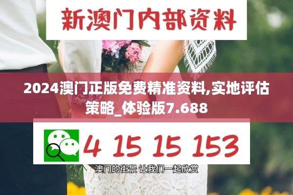 2024澳门正版免费精准资料,实地评估策略_体验版7.688