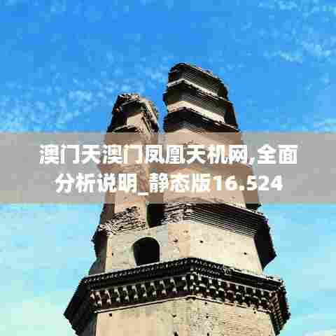 澳门天澳门凤凰天机网,全面分析说明_静态版16.524