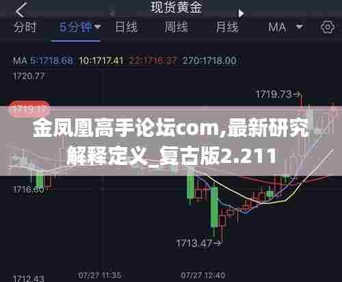 金凤凰高手论坛com,最新研究解释定义_复古版2.211