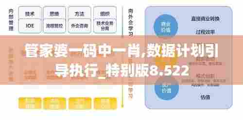 管家婆一码中一肖,数据计划引导执行_特别版8.522