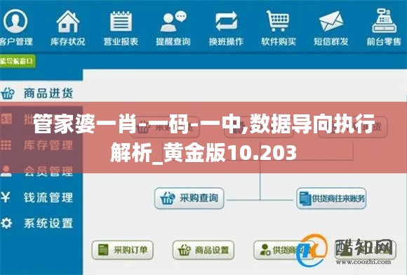 管家婆一肖-一码-一中,数据导向执行解析_黄金版10.203