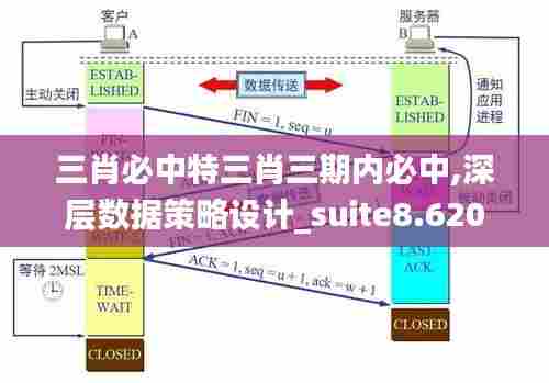 三肖必中特三肖三期内必中,深层数据策略设计_suite8.620