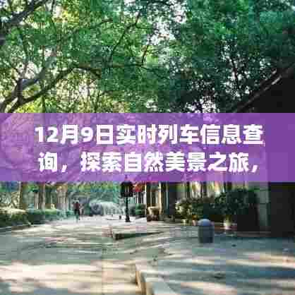 12月9日列车启程，探索自然美景，邂逅和谐之旅的喜悦与平静