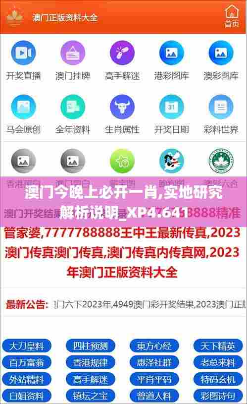 澳门今晚上必开一肖,实地研究解析说明_XP4.641