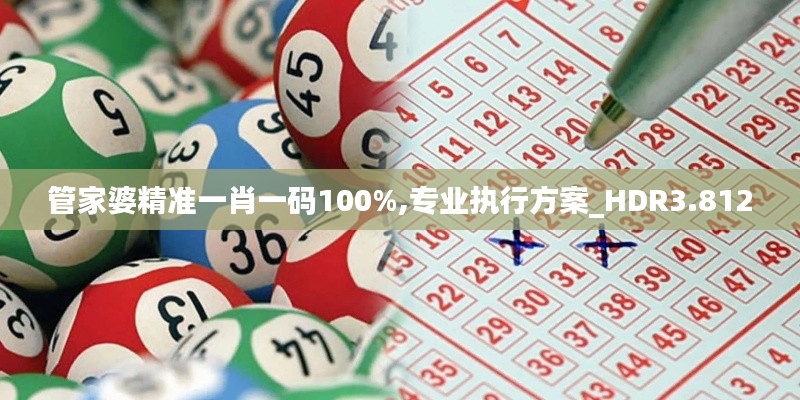 管家婆精准一肖一码100%,专业执行方案_HDR3.812