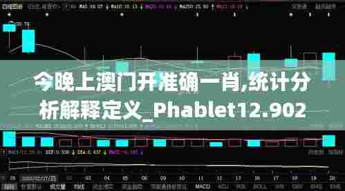 今晚上澳门开准确一肖,统计分析解释定义_Phablet12.902