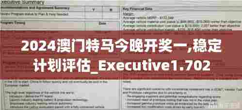 2024澳门特马今晚开奖一,稳定计划评估_Executive1.702