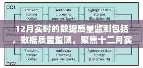 十二月实时数据质量监测,洞察时代价值
