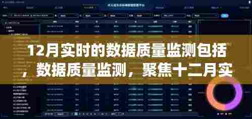 十二月实时数据质量监测,洞察时代价值
