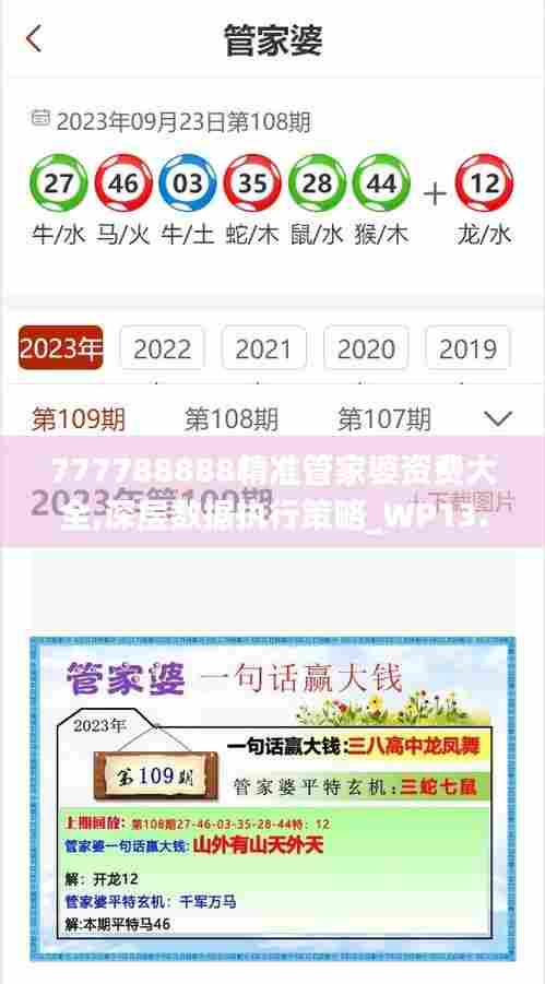 777788888精准管家婆资费大全,深层数据执行策略_WP13.608
