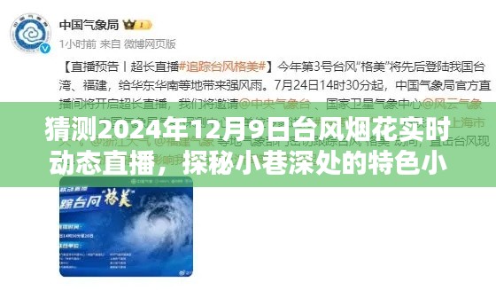 探秘小巷特色小店,揭秘台风烟花下的惊喜直播实况动态