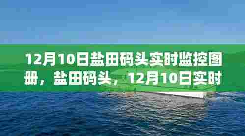 盐田码头12月10日实时监控图册全景透视之旅