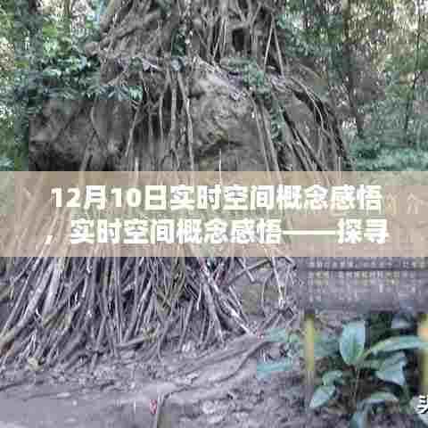 12月10日实时空间概念感悟，时间的边界与空间的深度探索