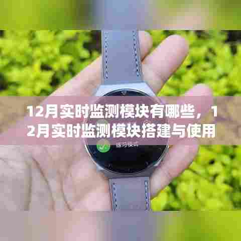 从零起步到技能进阶，12月实时监测模块搭建详解与使用指南