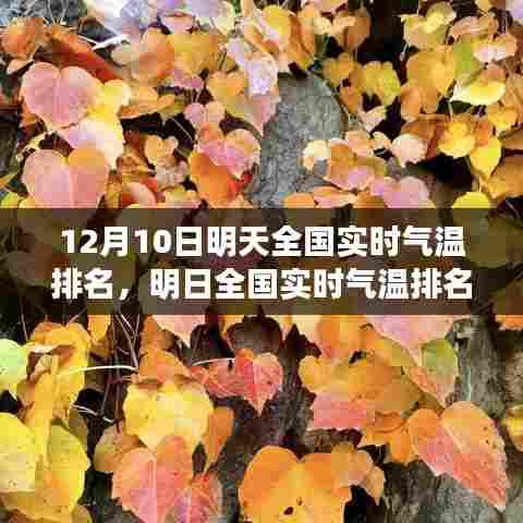 明日全国实时气温排名深度解读，温度变迁与时代印记的交汇点（12月10日）