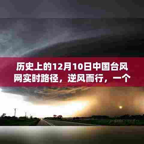 台风日的逆风温情，中国台风网实时路径记录与温馨故事