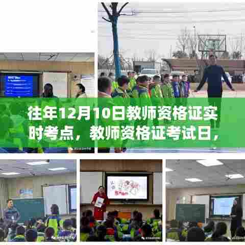 暖阳下的教师资格证考试日与学习之旅揭秘实时考点