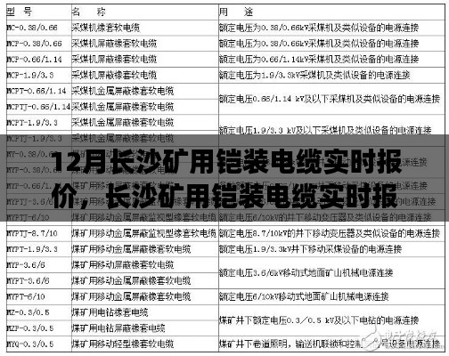 长沙矿用铠装电缆实时报价指南,从入门到精通,12月最新报价速递