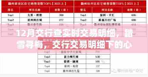交行交易明细下的心灵之旅，踏雪寻梅，探寻实时交易明细之旅