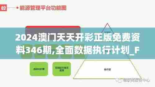 2024澳门天天开彩正版免费资料346期,全面数据执行计划_FT10.215
