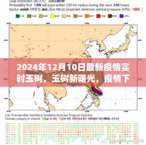 玉树新曙光，疫情下的励志成长与力量展现，实时疫情更新（2024年12月10日）