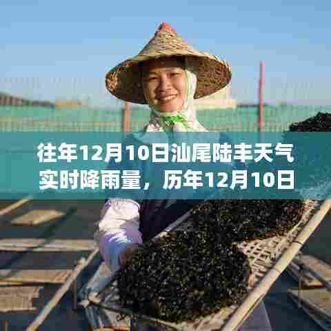 揭秘汕尾陆丰历年与实时天气，深度解析降雨背后的故事，实时数据大揭秘