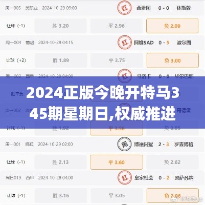 2024正版今晚开特马345期星期日,权威推进方法_进阶版14.224