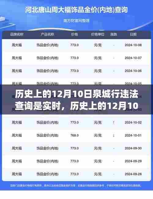 泉城行违法查询实时性演变与进展,历史视角下的12月10日实时查询系统解析