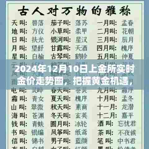 把握黄金机遇,上金所实时金价走势图启示录