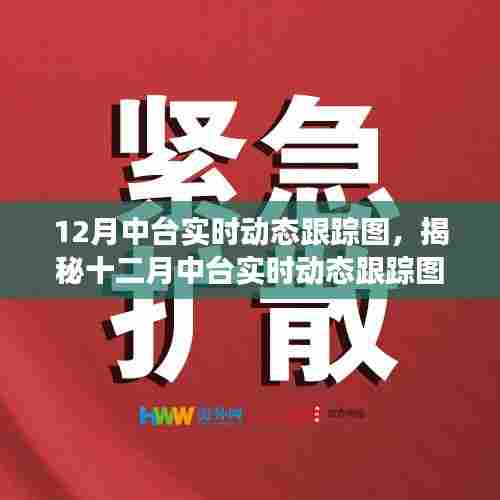 揭秘十二月中台实时动态跟踪图，寻找内心平静的旅程