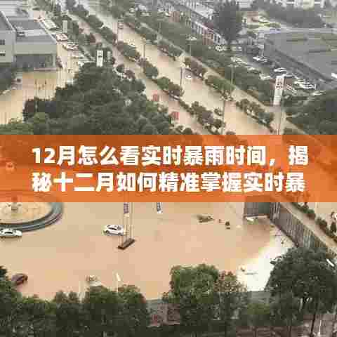 揭秘十二月实时暴雨时间掌握技巧，如何精准查看天气预报？