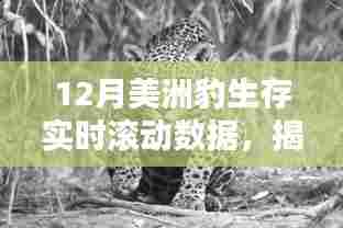 百鸟朝凤 第4页