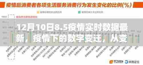 疫情下的数字变迁，最新实时数据揭示，点亮希望之光